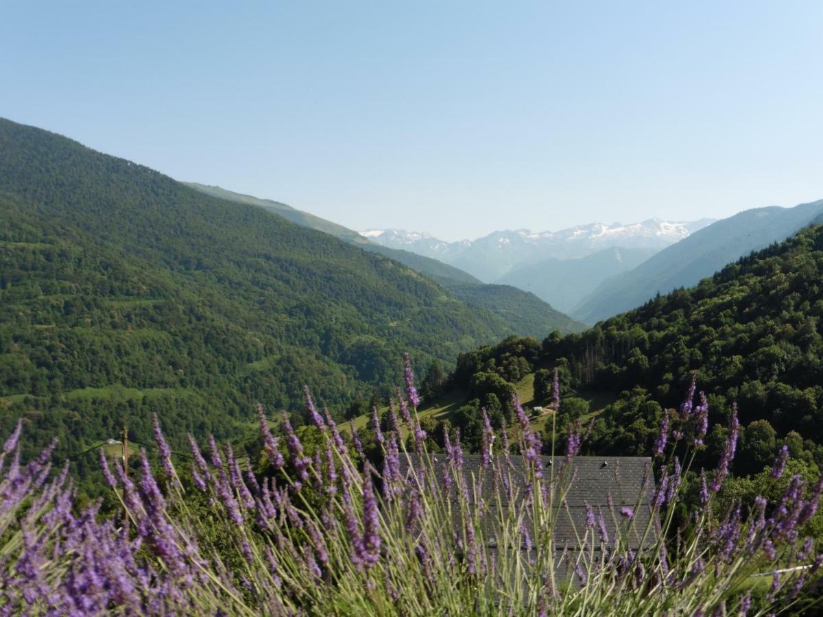 Chalet De Barraou Bed & Breakfast Binos Exterior photo